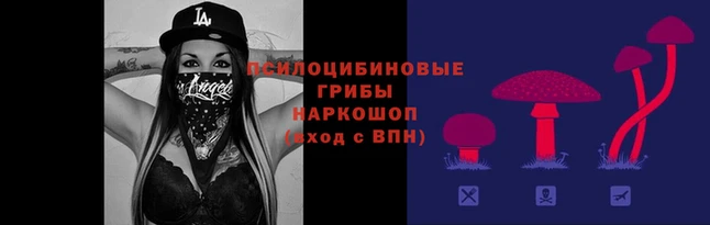 мескалин Алексин