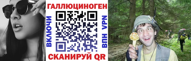 мега ссылка Талица Псилоцибиновые грибы GOLDEN TEACHER